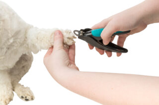 **Küünetangid, 14 cm