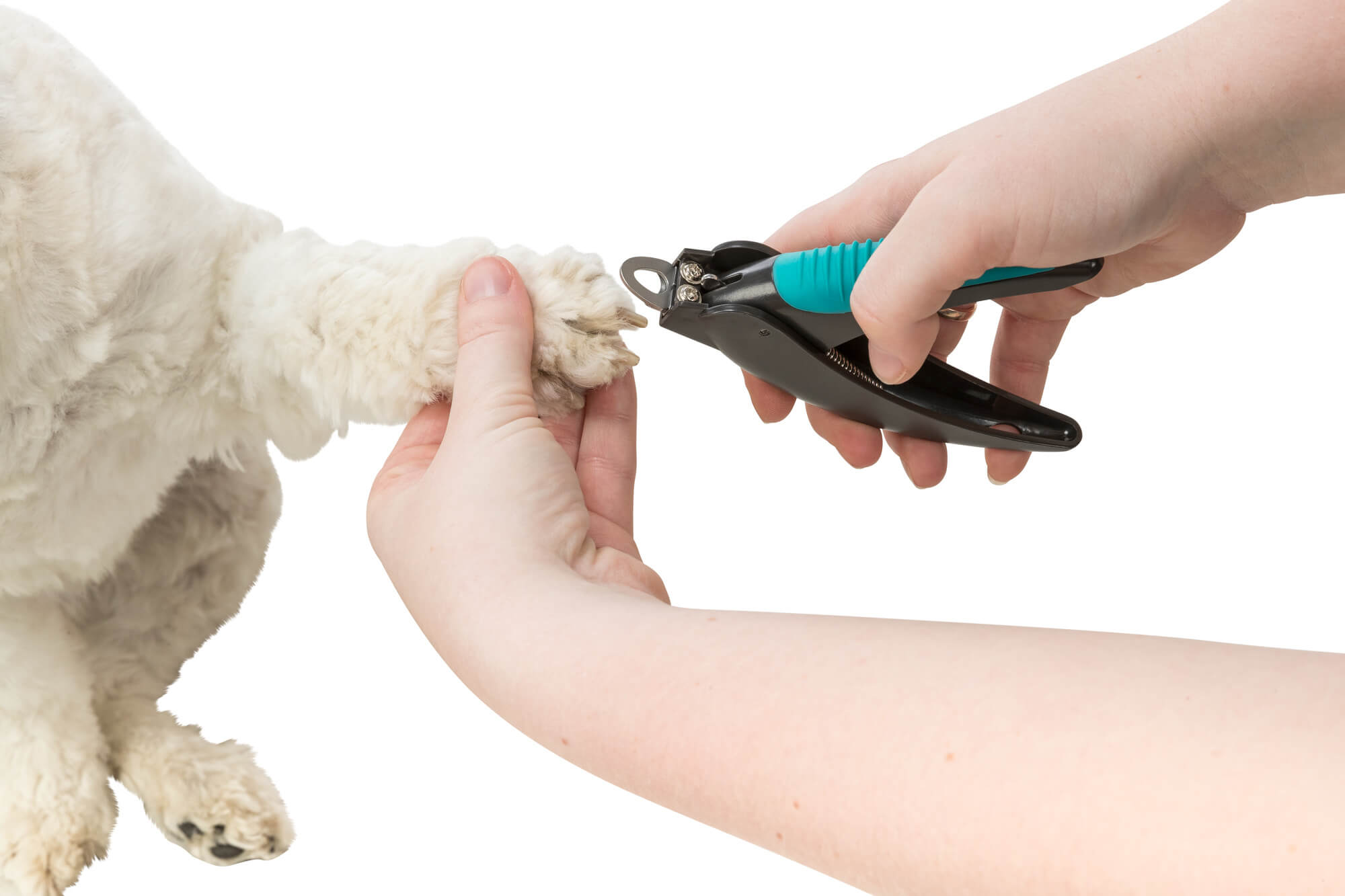 **Küünetangid, 14 cm