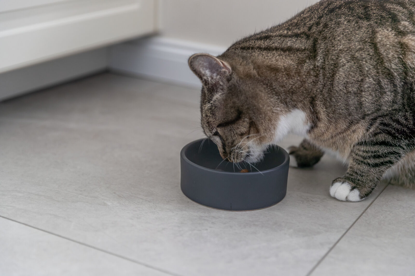 Keraamiline kauss 0.15 l/ø 12 cm