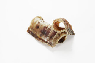 Koera maius Veise hingetoru 3-5cm/250g