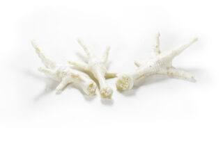 Kana jalad valged 100g