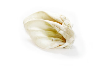 Koera maius Veise kõrvad (valged) 10tk pakendis