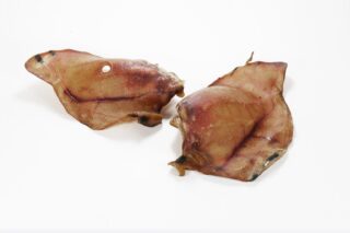 Koera maius Sea kõrvad 25tk pakis