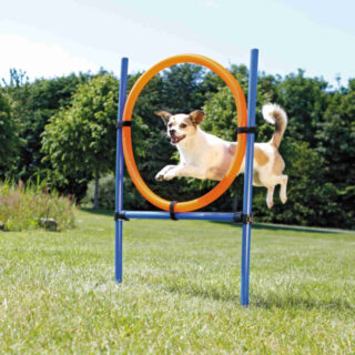 DogActivity Agility Ring, plastik, 115x ø 3cm, ø 65cm sinine / oranž
