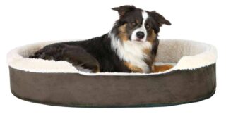 Koera voodi Cosma 85x65 pruun/beež