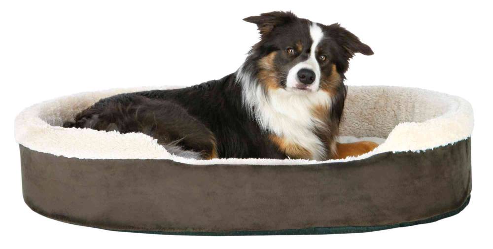 Koera voodi Cosma 85x65 pruun/beež