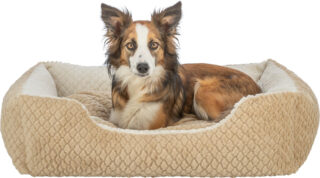 Koeravoodi Kaline Mio, 80 x 65 cm