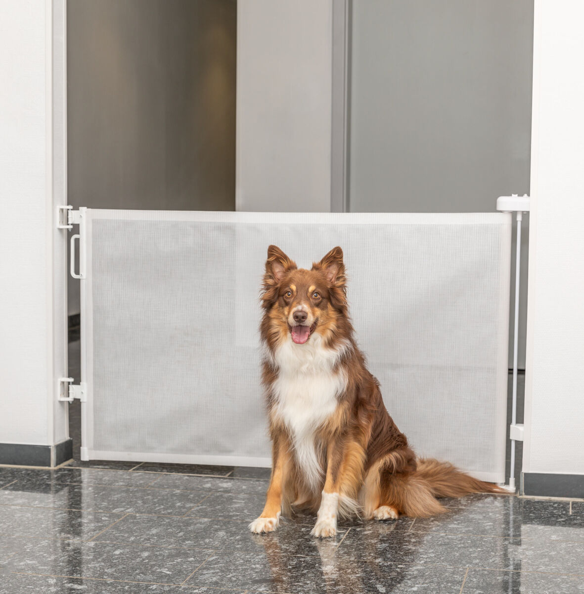 Rullitav vahesein, 0-137 x 86 cm