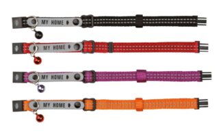 Kassi kaelarihm My Home oranz/reflekt