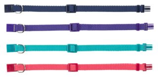 Kassi kaelarihm Premium kass, korall