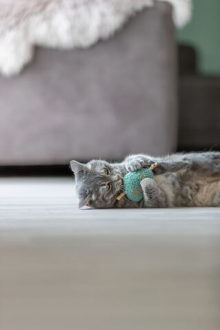 Kassi mänguasi Matatabi süda, 12 cm