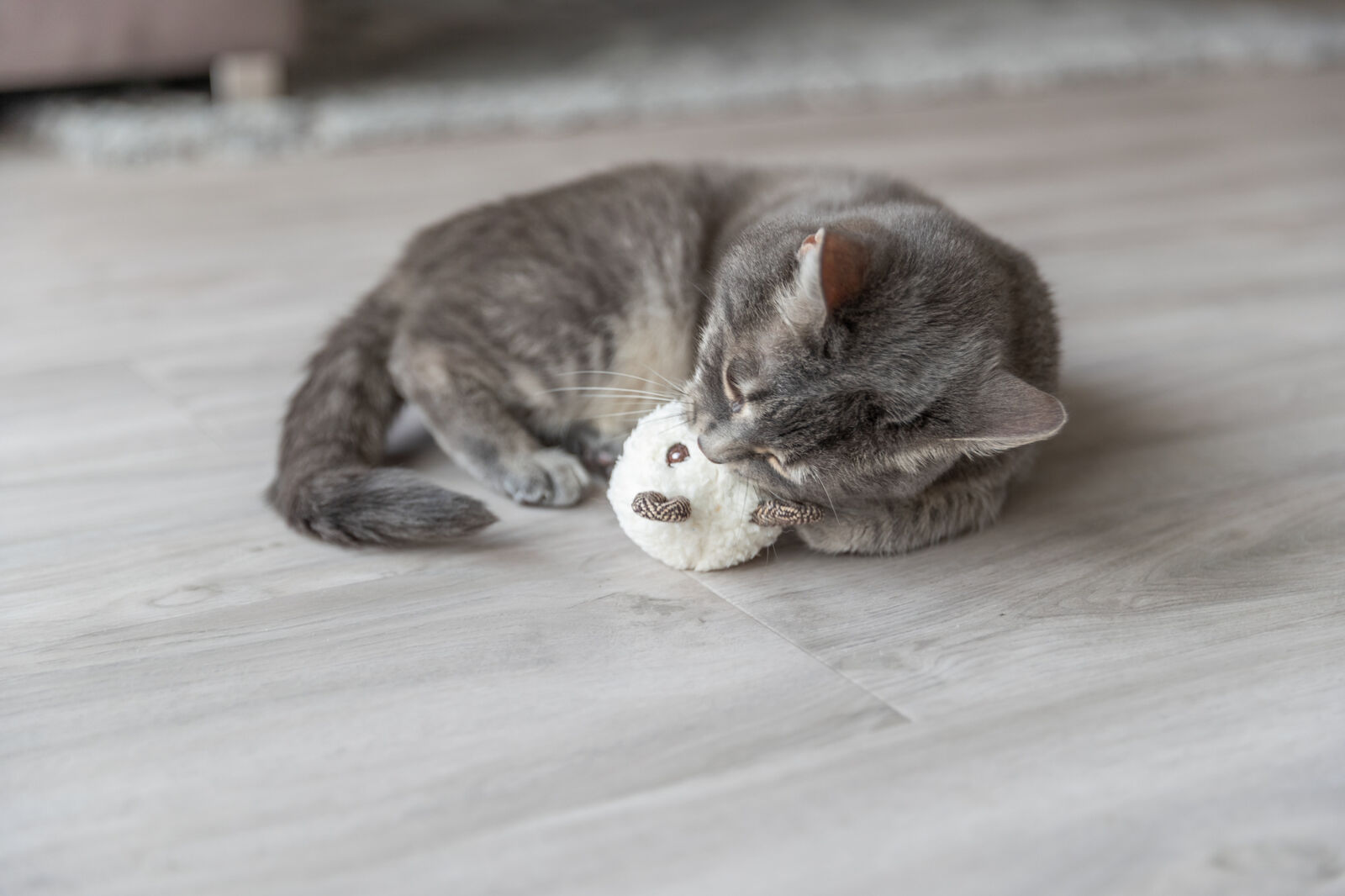 Kassi mänguasi Karu, plüüs, 8 cm