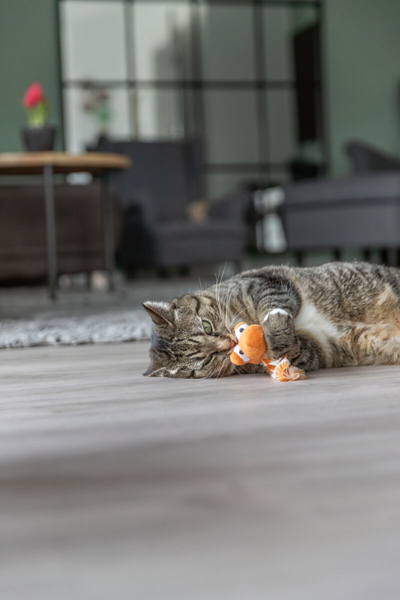 Kassi mänguasi Draakon kassinõgesega, 20 cm