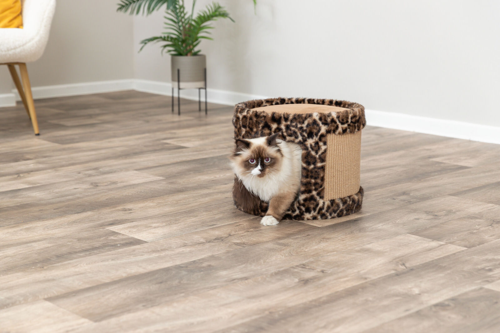 Kraapimiskoobas Leo, ø 38 × 30 cm