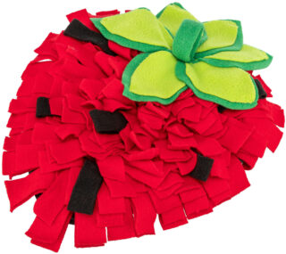 Näriliste mänguasi Nuuskimisvaip 33 x 40 cm