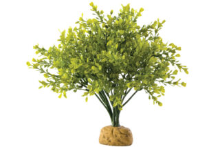 Terraariumi dekoor EXO-TERRA Boxwood Bush