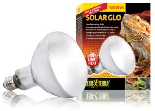Terraariumi lamp Solar Glo 125W PT2192