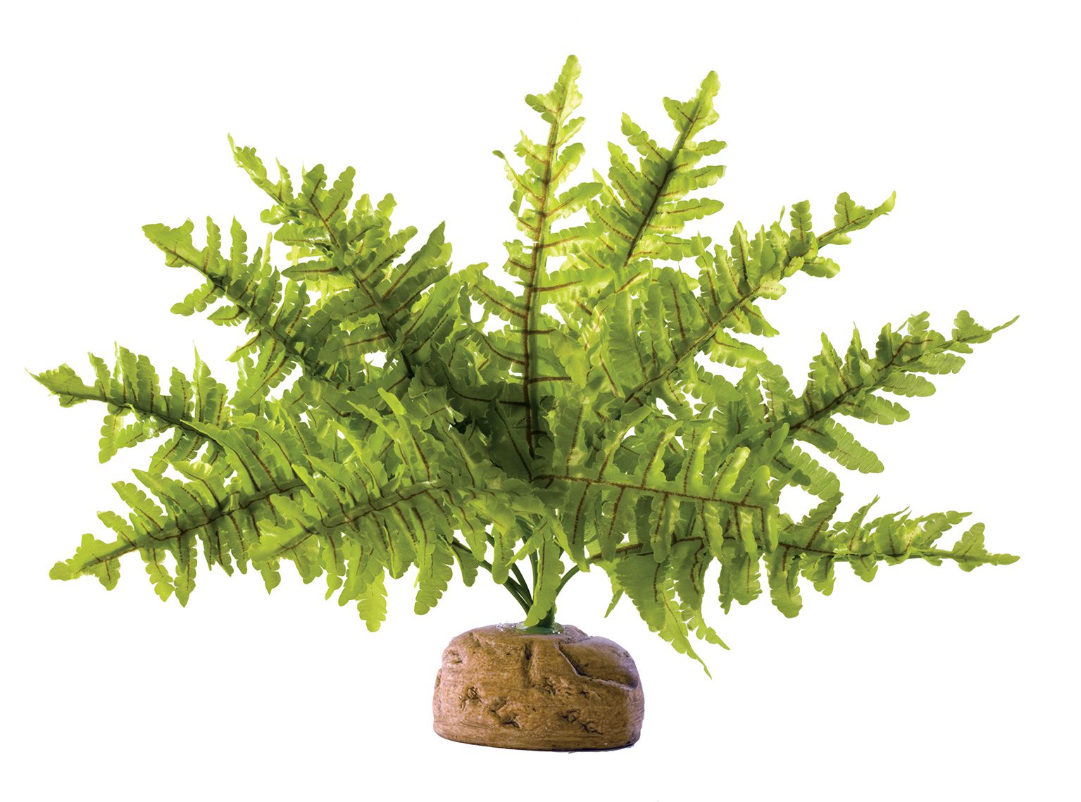 Terraariumi dekoor EXO-TERRA Boston Fern, väike