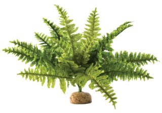Terraariumi dekoor EXO-TERRA Boston Fern, Keskmine