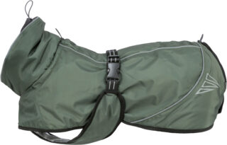 Koera talvemantel Explore thermo winter, M: 50 cm, oliivroheline