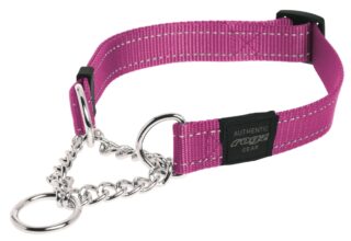 Pool-poov kaelarihm Rogz Utility L 20mm Fanbelt Obedience, roosa helkur