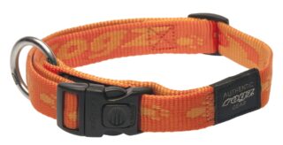 Kaelarihm Rogz Alpinist Large 20mm K2, oranž