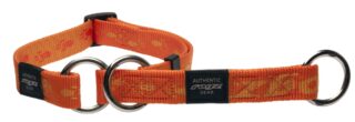 Poov kaelarihm Rogz Alpinist XL 25mm Everest Web, oranž Rogz Design
