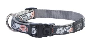 Kaelarihm Rogz Beach Bum L Coral Island 20mm/34-56cm