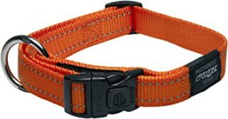 Kaelarihm Rogz Lumberjack 25mm/43-70cm oranž