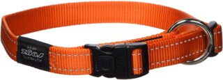 Kaelarihm Rogz Fanbelt 20mm/34-56cm oranž