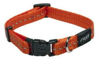 Kaelarihm Rogz Nitelife 11mm/20-31cm oranž