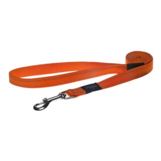 Jalutusrihm Rogz Fanbelt 20mm/1,4m oranz