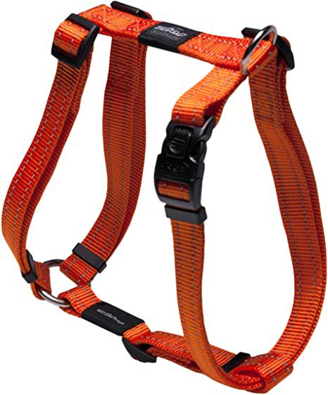 Traksid H Fanbelt L 45-75cm oranž