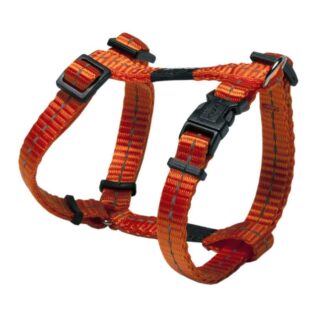 Traksid H Nitelife S 11mm/23-37cm oranž