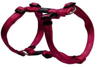 Traksid H K2 L 20mm/45-75cm roosad