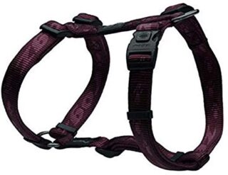 Traksid H Everest XL 25mm/60-100cm lilla