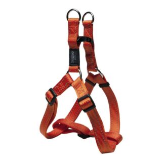 Traksid Rogz Step-in Fanbelt L 20mm/53-76cm oranž