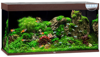 Akvaarium Rio LED 350 L tume puit