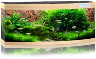Akvaarium Vision LED 450 L hele puit
