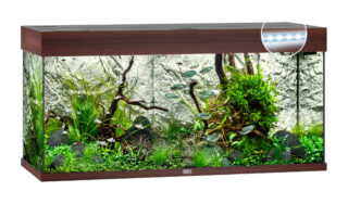 Akvaarium Rio LED 180 L tume puit