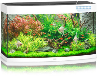 Akvaarium Vision LED 180 L valge
