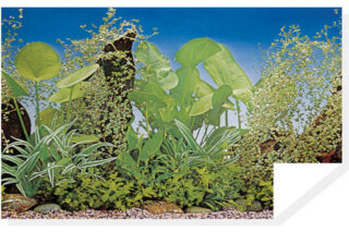 Akvaariumi taust F8-30cm (15m) 1m