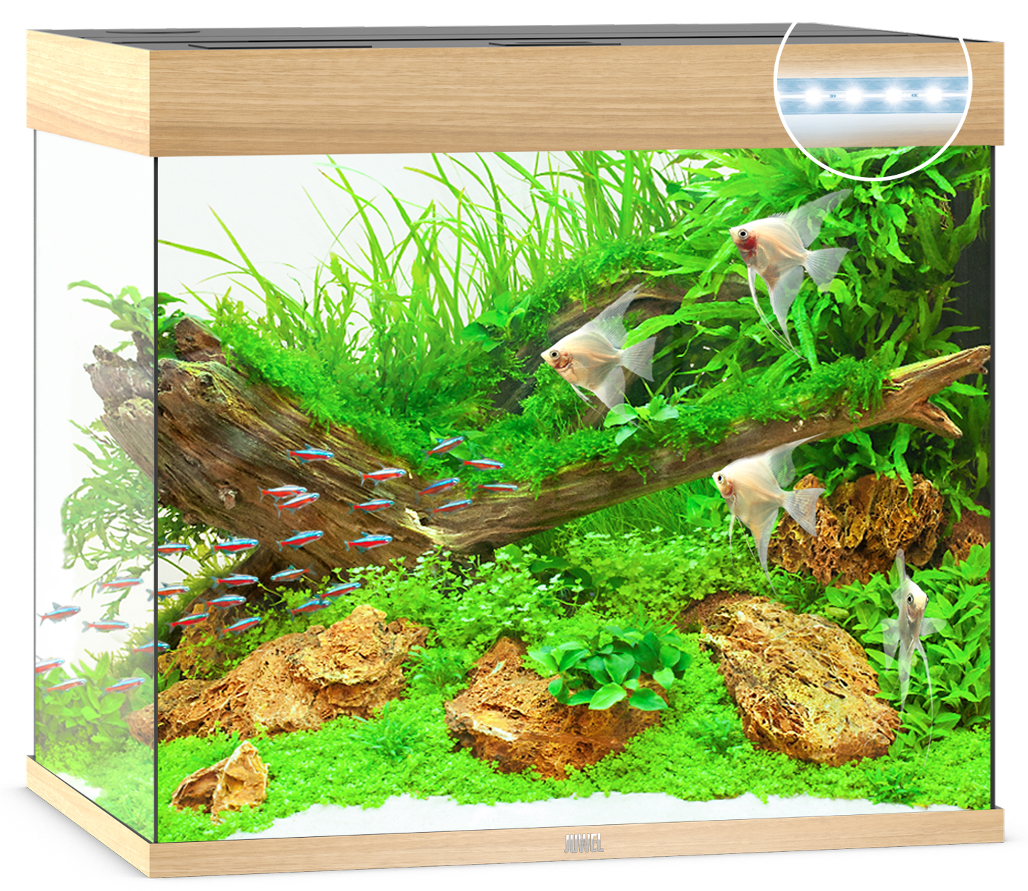 Akvaarium Lido LED 200 L hele puit