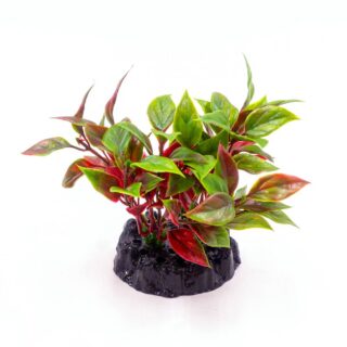 Plastist taim Q-153A 4" 10cm