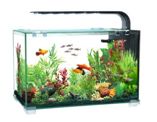 Akvaarium AQUACLEAR DESKTOP TANK AC16  13L 356x206x234mm
