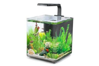 Akvaarium AQUACLEAR DESKTOP TANK AC10 9,4L 243x203x233mm