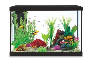 Akvaarium STARTER KIT STK20 75.7L 612x320x431mm