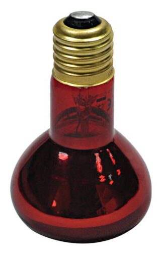 Terrariumi lamp Night Infrared RPL03 50W red