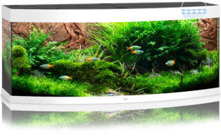 Akvaarium Vision LED 450 L valge