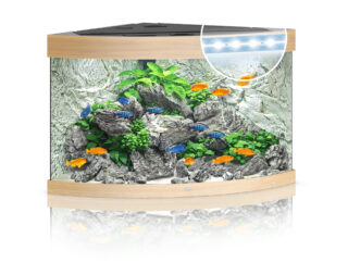 Akvaarium Trigon LED 190 L hele puit